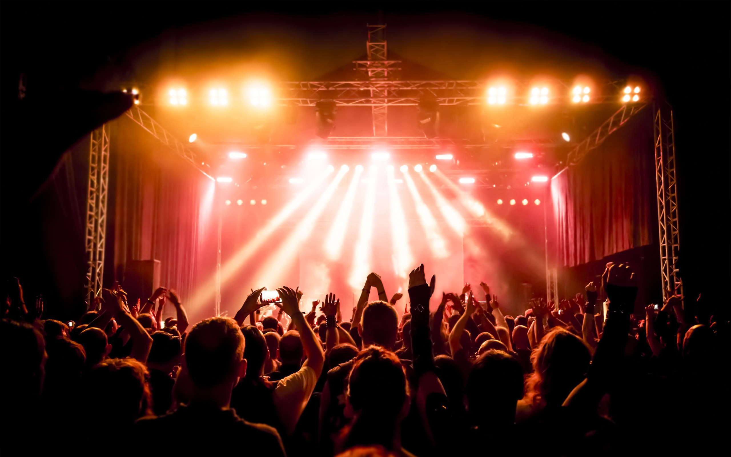 Professional Acoustic Solution